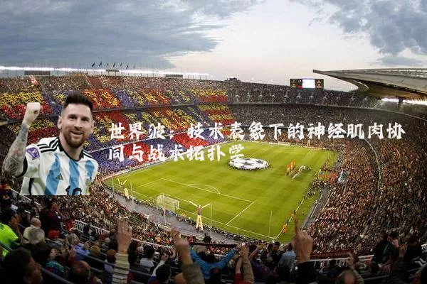 世界波：技术表象下的神经肌肉协同与战术拓扑学